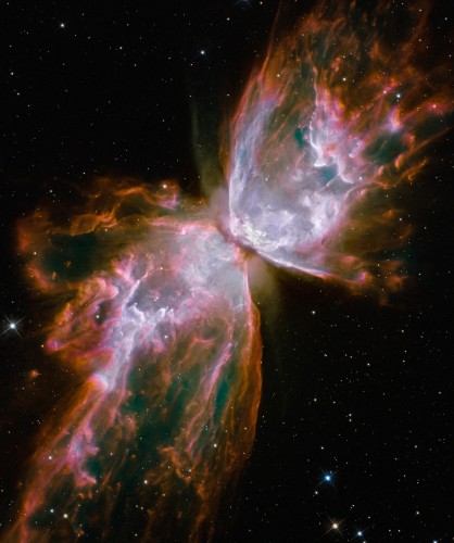 NGC 6302 door Hubble gefotografeerd