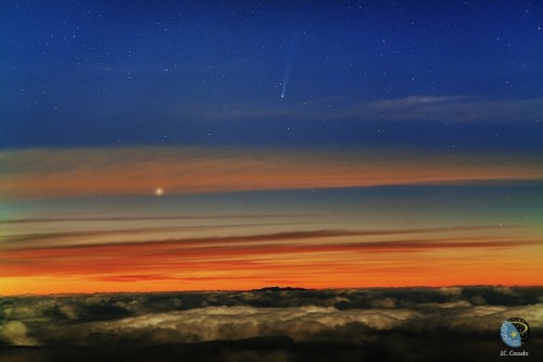  Komeet ISON door Juan Carlos Casado op 21 november 2013 @ Teide Observatory, Tenerife